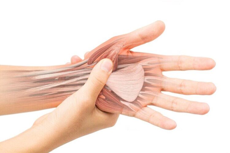 [freepicdownloader.com]-digital-composite-image-person-holding-palm-against-white-background-medium